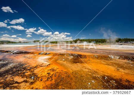 Hot thermal spring in Yellowstone 37932667