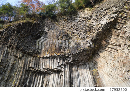 Genbudo Genbudo 37932800