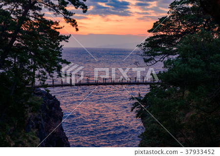 [東伊豆]曙光的Jogasaki漁橋 37933452