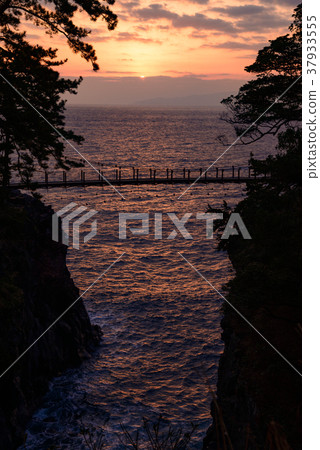 [東伊豆]曙光的Jogasaki漁橋 37933555