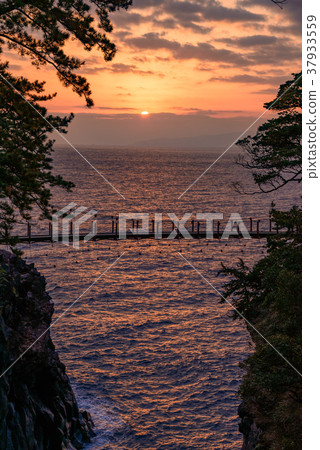 [東伊豆]曙光的Jogasaki漁橋 37933559