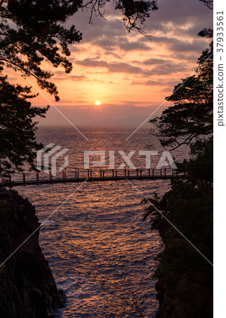 [東伊豆]曙光的Jogasaki漁橋 37933561