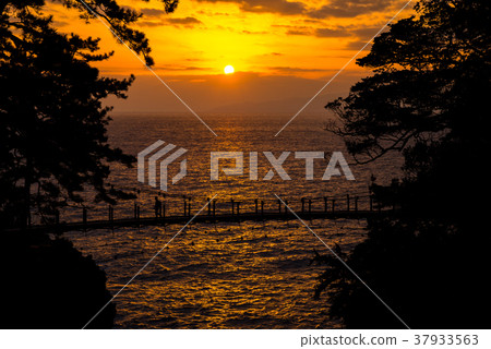 [Higashi Izu] Jogasaki fishing bridge that dawns 37933563