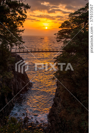 [東伊豆]曙光的Jogasaki漁橋 37933567