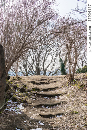 [神奈川縣]高取山 37934127