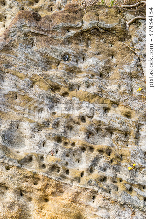 [神奈川縣]攀岩 37934134