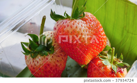 Red strawberry  background. 37934724