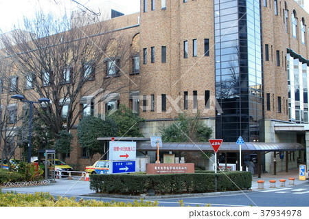 Todai Hospital Todai Hospital 37934978