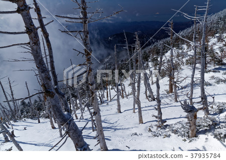 富士山冬天遠離山峰 富士山冬天遠離山峰 37935784