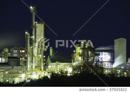 [兵庫縣姬路市] Aoi Shiki海邊植物的夜景 37935822