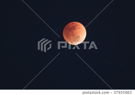 月全食 月全食 37935863