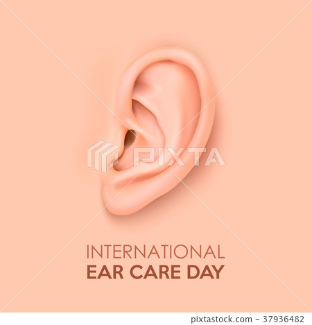 Vector background with realistic human ear closeup Vector background with realistic human ear closeup 37936482