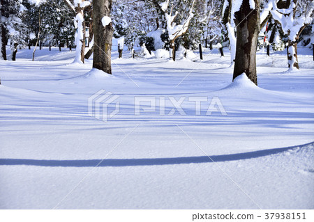 Snow cover Snow cover 37938151