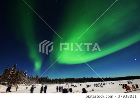 極光在耶洛奈夫極光村，加拿大 37938811