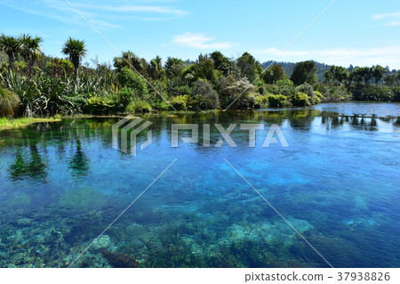 Pup spring Pup spring 37938826