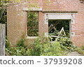 Abandoned Abandoned House Grassy Door 37939208