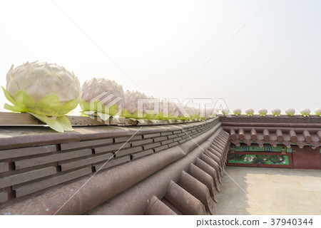 Gangwolam, Seosan, Chungnam 37940344