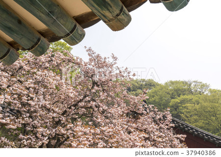 Changwon, Seosan-si, Chungnam Changwon, Seosan-si, Chungnam 37940386