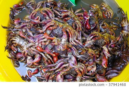 Fermented crab with chilli and garlic 37941468