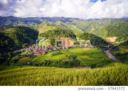 Terraced rice field in Northern, Vietnam 37941572