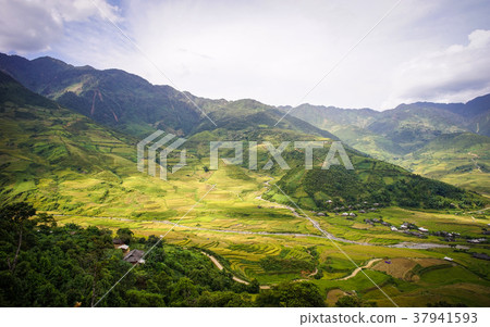 Terraced rice field in Northern, Vietnam Terraced rice field in Northern, Vietnam 37941593