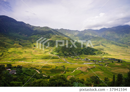 Terraced rice field in Northern, Vietnam Terraced rice field in Northern, Vietnam 37941594