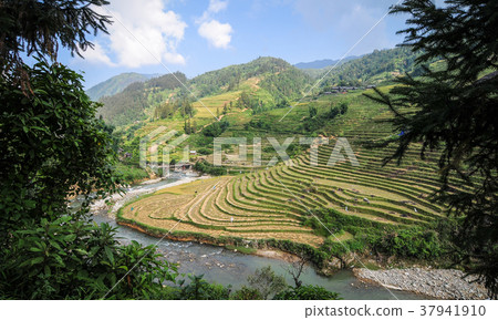 Landscape of terraced rice field in Vietnam Landscape of terraced rice field in Vietnam 37941910