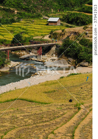 Landscape of terraced rice field in Vietnam Landscape of terraced rice field in Vietnam 37941913