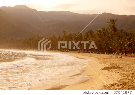 SOUTH AMERICA VENEZUELA CHORONI BEACH SOUTH AMERICA VENEZUELA CHORONI BEACH 37941977