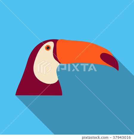 brazilian toucan bird nature 37943016