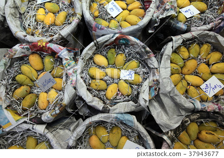 ASIA THAILAND BANGKOK BANGLAPHU PAK KHLONG MARKET 37943677