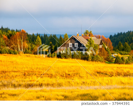 Wooden hut in Jizerka village. Sunny autumn day 37944391