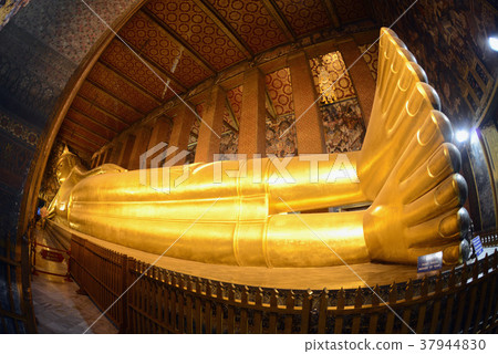 THAILAND 37944830