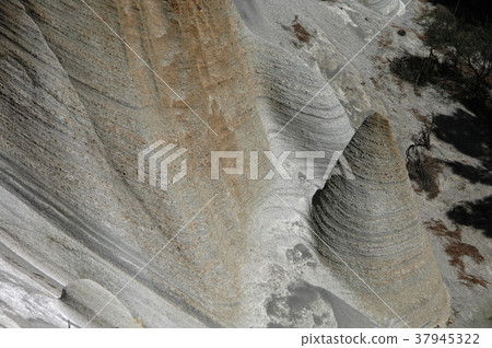 SPAIN CANARY ISLANDS TENERIFE SPAIN CANARY ISLANDS TENERIFE 37945322