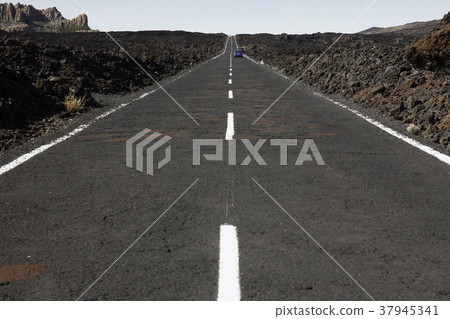 SPAIN CANARY ISLANDS TENERIFE SPAIN CANARY ISLANDS TENERIFE 37945341