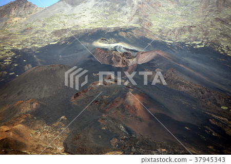 SPAIN CANARY ISLANDS TENERIFE SPAIN CANARY ISLANDS TENERIFE 37945343