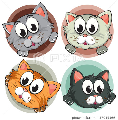 Four kitty heads on round badge 37945366