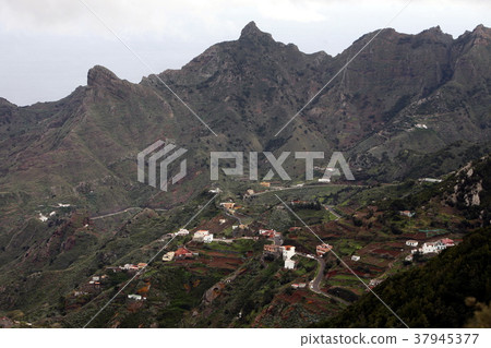 SPAIN CANARY ISLANDS TENERIFE SPAIN CANARY ISLANDS TENERIFE 37945377