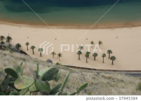 SPAIN CANARY ISLANDS TENERIFE SPAIN CANARY ISLANDS TENERIFE 37945384