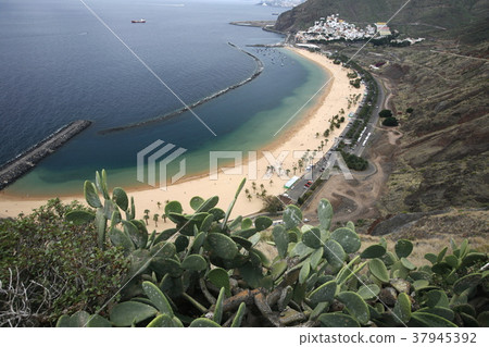 SPAIN CANARY ISLANDS TENERIFE SPAIN CANARY ISLANDS TENERIFE 37945392