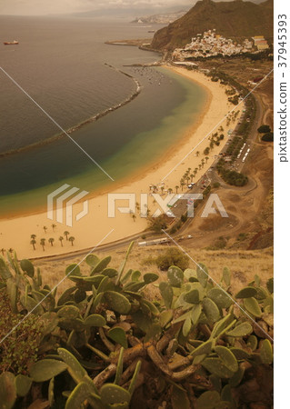 SPAIN CANARY ISLANDS TENERIFE SPAIN CANARY ISLANDS TENERIFE 37945393