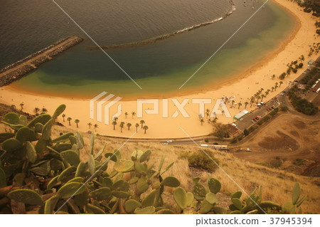 SPAIN CANARY ISLANDS TENERIFE SPAIN CANARY ISLANDS TENERIFE 37945394