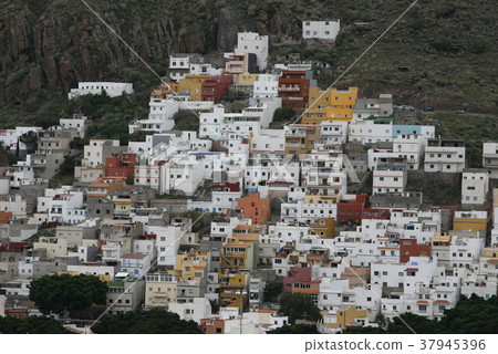 SPAIN CANARY ISLANDS TENERIFE SPAIN CANARY ISLANDS TENERIFE 37945396