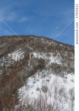 黑檜山 37945612