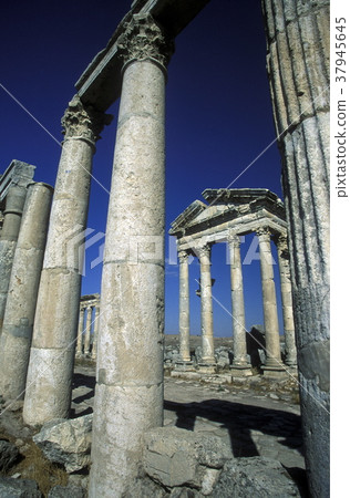 MIDDLE EAST SYRIA HAMA APAMEA RUINS 37945645