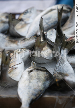 EUROPE ITALY SICILY EUROPE ITALY SICILY 37945854