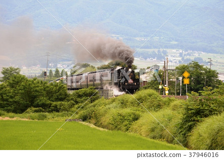 每月十個故事 37946016