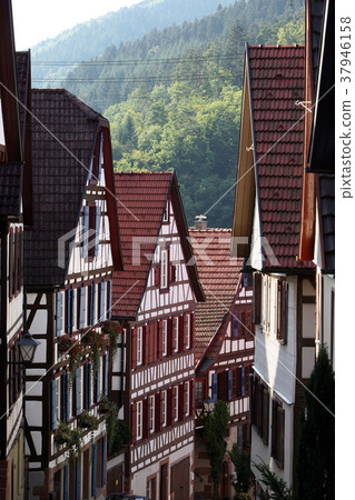 EUROPE GERMANY BLACKFOREST EUROPE GERMANY BLACKFOREST 37946158