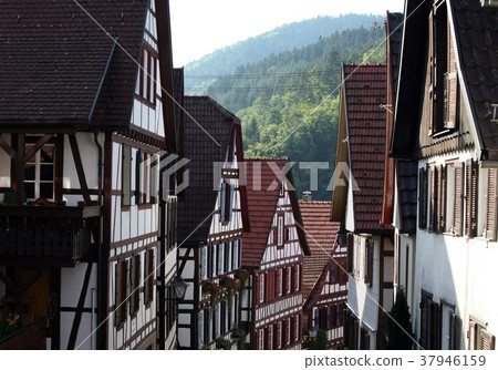 EUROPE GERMANY BLACKFOREST EUROPE GERMANY BLACKFOREST 37946159