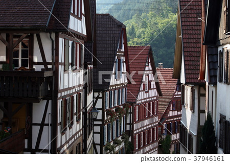 EUROPE GERMANY BLACKFOREST EUROPE GERMANY BLACKFOREST 37946161